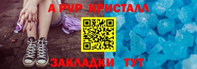 амф Кингисепп