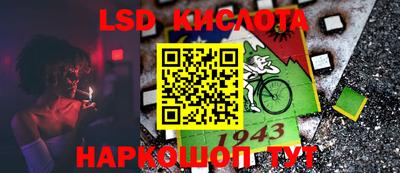 амф Кингисепп