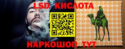 амф Кингисепп