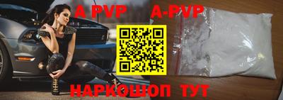 амф Кингисепп