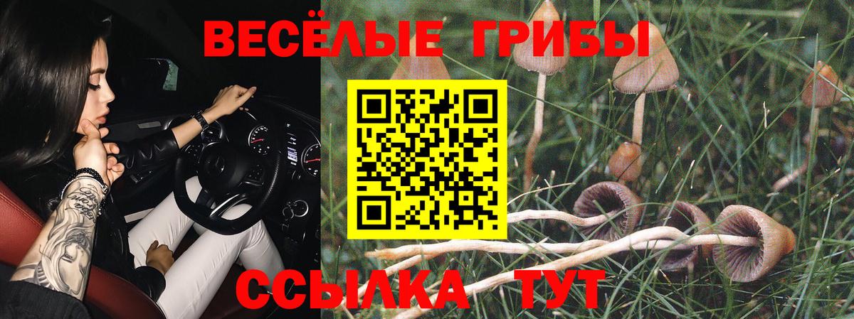 Холмск  Псилоцибиновые грибы Psilocybe  Вход с VPN 