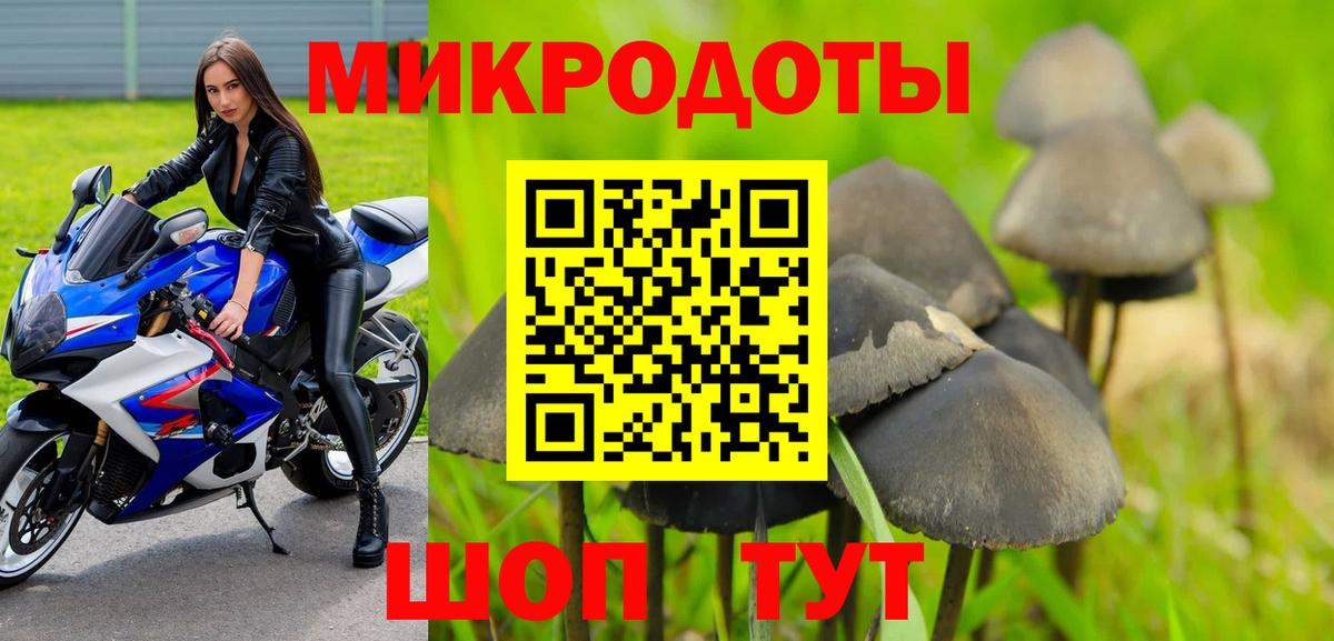 Псилоцибиновые грибы прущие грибы Холмск